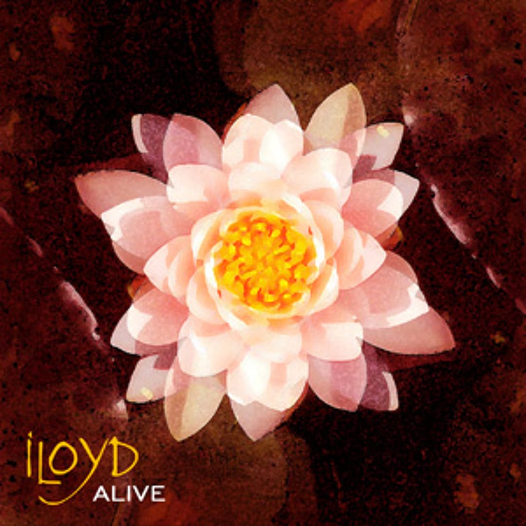 iloyd appreciation post